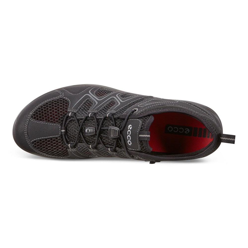 Tenis Outdoor Hombre - ECCO Terracruise Lt - Negros - CBS701658